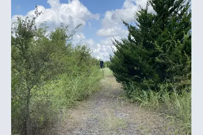 2774 Cr 658, Farmersville, TX 75442 - Photo 8