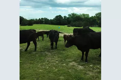 783 County Rd 4420, Whitewright, TX 75491 - Photo 28