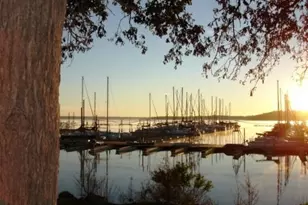 97 Oak Trail Dr, Gordonville, TX 76245 - Photo 30