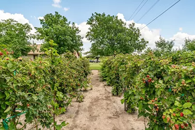 2036 County Road 242, Dublin, TX 76446 - Photo 10