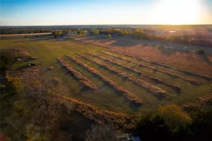 6187 Co Rd 570, Farmersville, TX 75442 - Photo 10