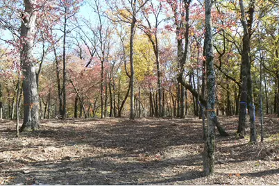 9122 Safari Bluff, LaRue, TX 75770 - Photo 22