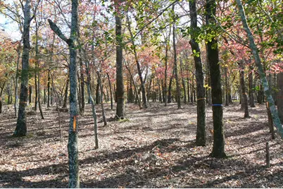 9122 Safari Bluff, LaRue, TX 75770 - Photo 20