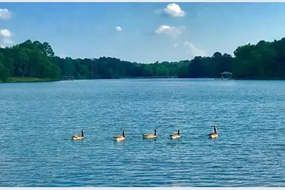 9122 Safari Bluff, LaRue, TX 75770 - Photo 12