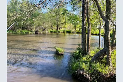 4798 E Fm 198, Lake Creek, TX 75450 - Photo 8