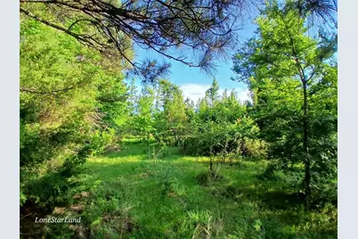 475 County Road 4421, Pittsburg, TX 75686 - Photo 10