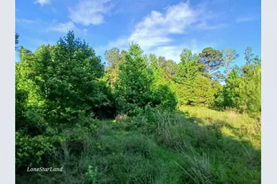 475 County Road 4421, Pittsburg, TX 75686 - Photo 16