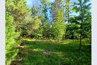 475 County Road 4421, Pittsburg, TX 75686 - Photo 8