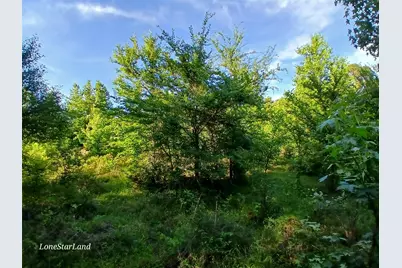 475 County Road 4421, Pittsburg, TX 75686 - Photo 22