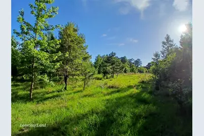 475 County Road 4421, Pittsburg, TX 75686 - Photo 8