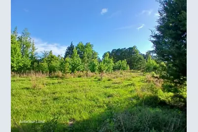 475 County Road 4421, Pittsburg, TX 75686 - Photo 14