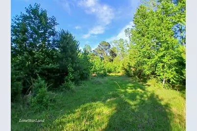 475 County Road 4421, Pittsburg, TX 75686 - Photo 24