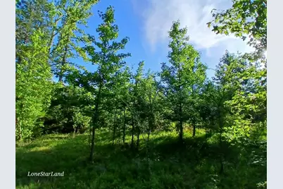 475 County Road 4421, Pittsburg, TX 75686 - Photo 6