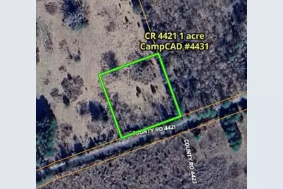475 County Road 4421, Pittsburg, TX 75686 - Photo 4
