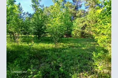 475 County Road 4421, Pittsburg, TX 75686 - Photo 26