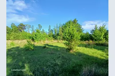 475 County Road 4421, Pittsburg, TX 75686 - Photo 20