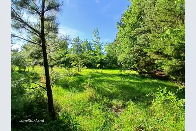 475 County Road 4421, Pittsburg, TX 75686 - Photo 1
