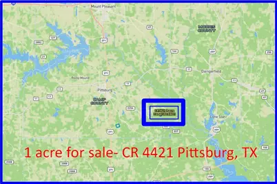 475 County Road 4421, Pittsburg, TX 75686 - Photo 30