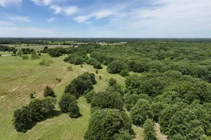 000 Fm 148, Scurry, TX 75158 - Photo 4