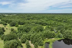 000 Fm 148, Scurry, TX 75158 - Photo 6