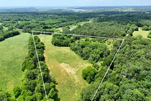 11 Tbd Cr2770 Cr 2770, Honey Grove, TX 75446 - Photo 1