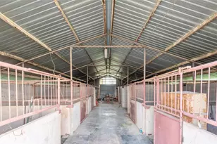 3017 Co Rd 154, Tuscola, TX 79562 - Photo 34