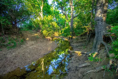 Tbd Burwick, Bryson, TX 76427 - Photo 16