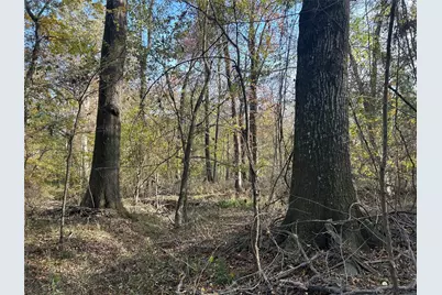 Tract A County Road 1412, Bogata, TX 75426 - Photo 10