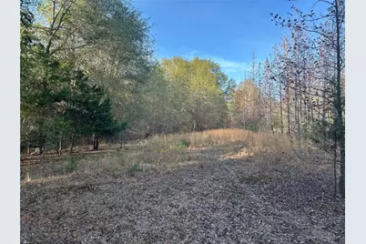 Tract A County Road 1412, Bogata, TX 75426 - Photo 2