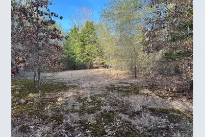 Tract A County Road 1412, Bogata, TX 75426 - Photo 8