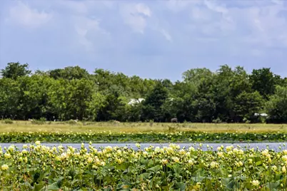 Tbd Vz Cr 2705, Mabank, TX 75147 - Photo 34