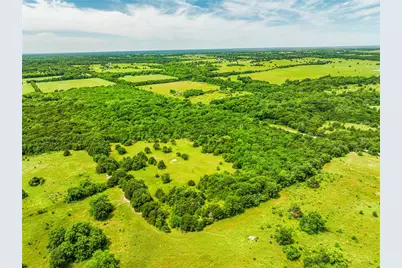 0000 County Road 1019, Celeste, TX 75423 - Photo 6
