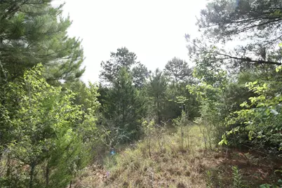 Tract 1 Tbd Vzcr 1507, Grand Saline, TX 75140 - Photo 10