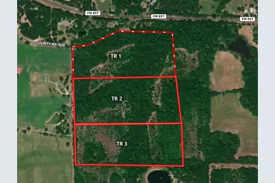 Tract 1 Tbd Vzcr 1507, Grand Saline, TX 75140 - Photo 1