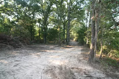 Tract 2 Tbd Vzcr 1507, Grand Saline, TX 75140 - Photo 4