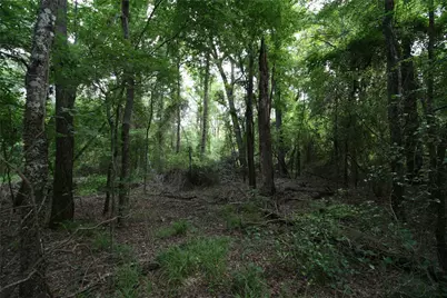 Tract 3 Tbd Vzcr 1507, Grand Saline, TX 75140 - Photo 10