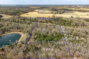 Tract 3 Tbd Vzcr 1507, Grand Saline, TX 75140 - Photo 1