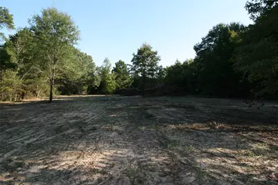 Tract 3 Tbd Vzcr 1507, Grand Saline, TX 75140 - Photo 2