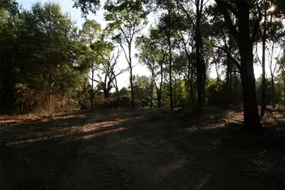 Tract 3 Tbd Vzcr 1507, Grand Saline, TX 75140 - Photo 20