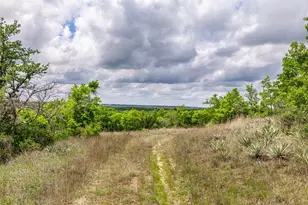 1728 Sweet Springs, Weatherford, TX 76082 - Photo 12