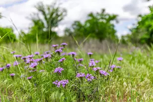 1728 Sweet Springs, Weatherford, TX 76082 - Photo 10