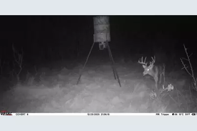 900 Calhoun Road, Gordon, TX 76453 - Photo 16