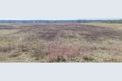 Tbd SW Cr 4050, Dawson, TX 76639 - Photo 10