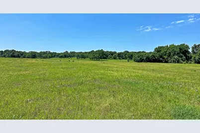 Tbd Cr-1127, Athens, TX 75751 - Photo 4