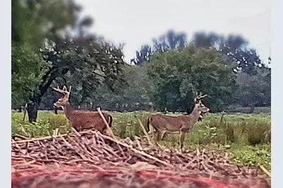 Tbd Cr-1127, Athens, TX 75751 - Photo 12