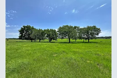 Tbd Cr-1127, Athens, TX 75751 - Photo 6
