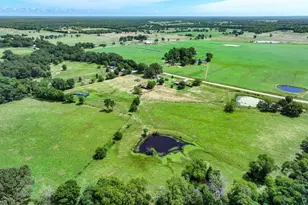 2228 VZ County Rd 1110, Grand Saline, TX 75140 - Photo 34