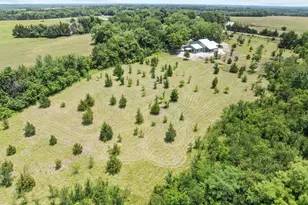 516 County Rd 27450, Honey Grove, TX 75446 - Photo 26