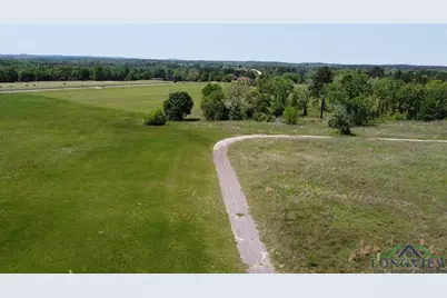 Tract 6 Hwy 259, Longview, TX 75605 - Photo 4