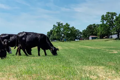 5200 Cross Timbers Road, Flower Mound, TX 75022 - Photo 10